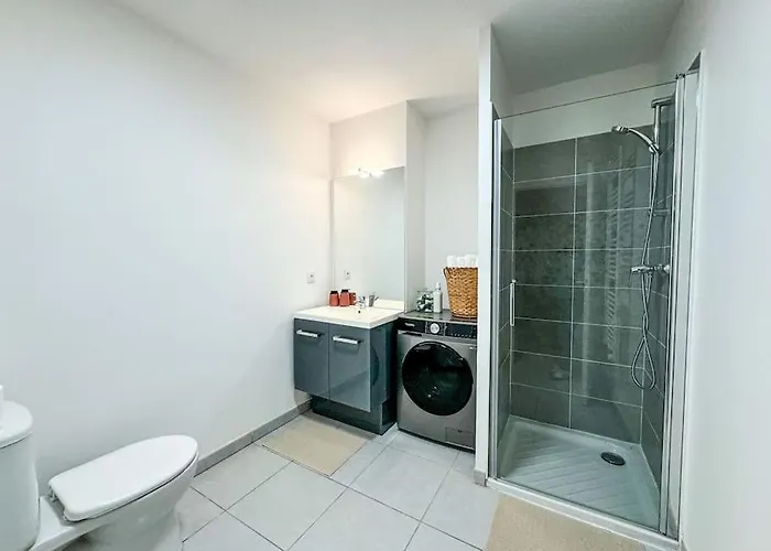 Appartement Le Celeste Toulouse